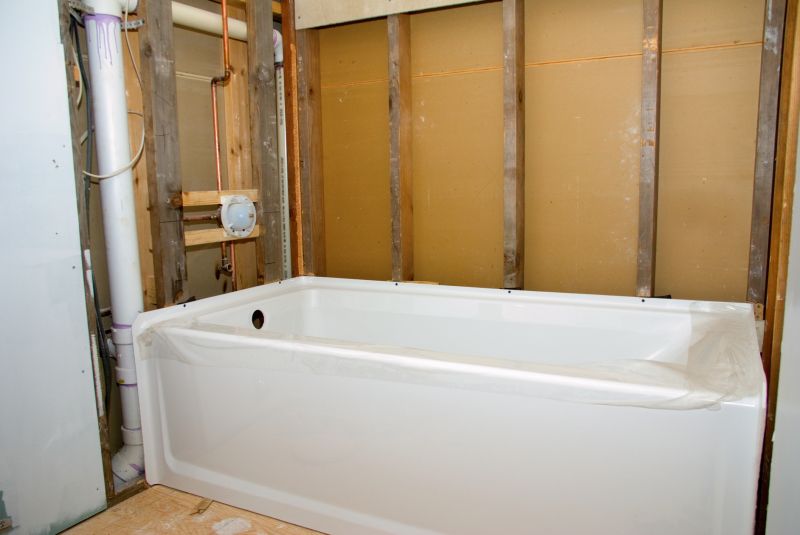 Top Tub To Shower Conversion Companies in Champlin, MN