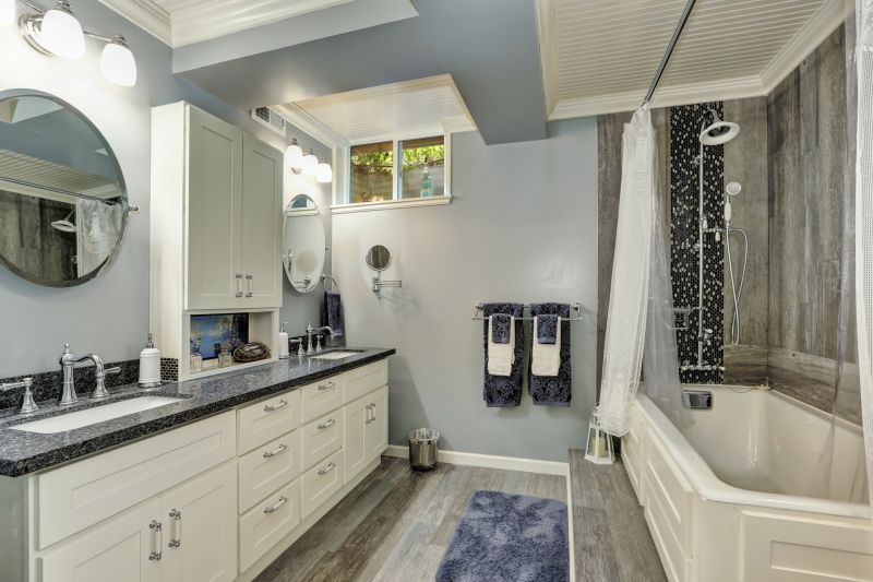 Professional Bathroom Renovation